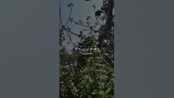 افمن شرح الله صدره للاسلام 🌱 تلاوه هادئة تريح القلب للقارئ ماهر المعيقلي ❤️ارح سمعك بصوت جميل جداً 💗