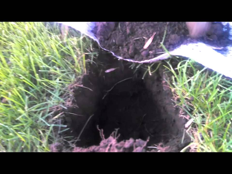 Metal detecting in iowa YouTube