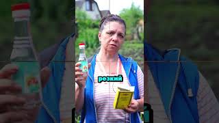Народное средство от колорадского жука #сад #огород #дача #рассада #урожай