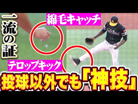 【一流の証】伊藤大海・モイネロ『綿毛キャッチ&テロップキック…投球以外でも“神技”披露!』