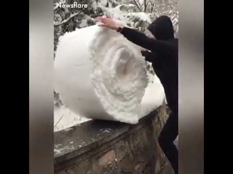 วีดีโอ: เก็บหิมะ