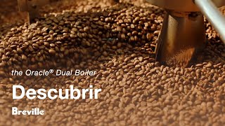 the Oracle® Dual Boiler | Granos 101: Perfiles de sabor del café | Breville México