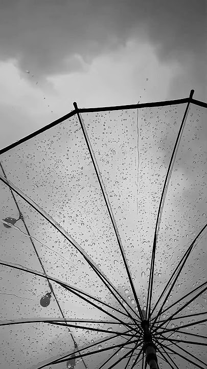 The Beauty of The Existence | جمال الوجودى | Muhammad Al Muqit | Speed Up | Nasheed