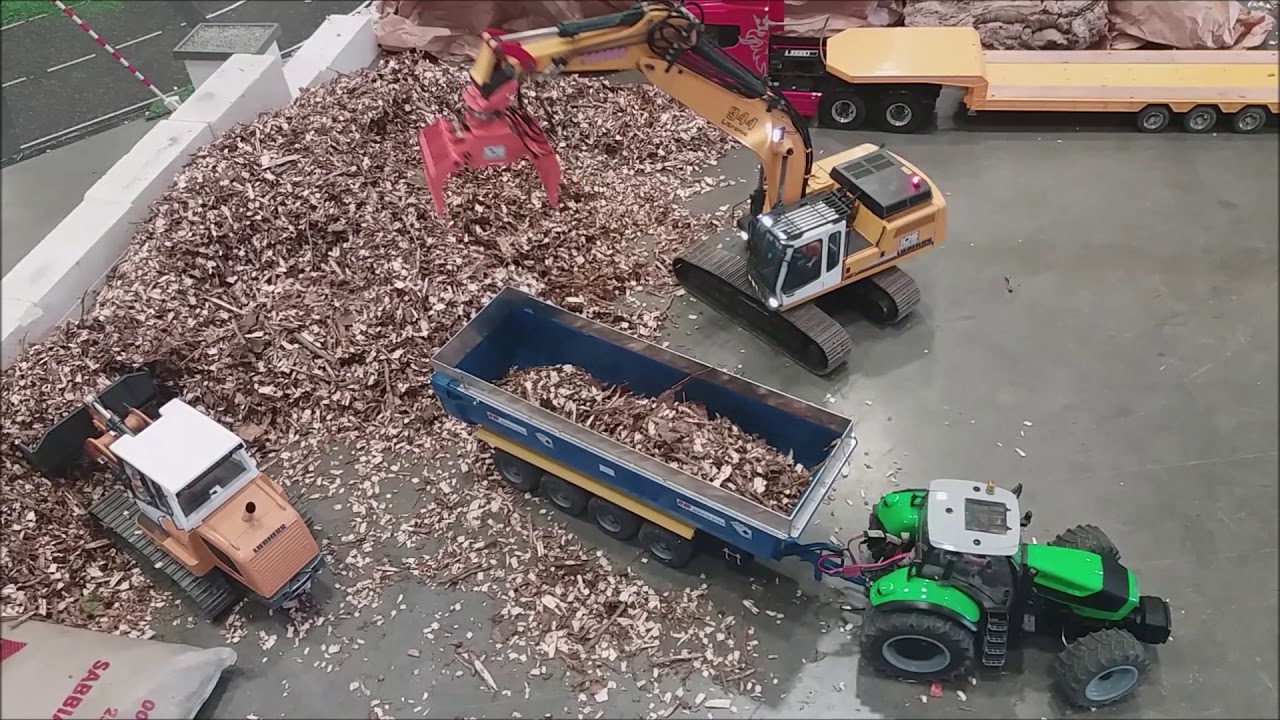 Model game Bologna 2019