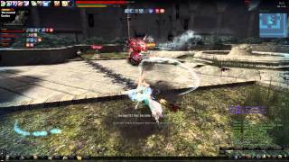 Vindictus Ingkells Raid