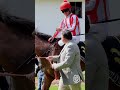 Racing at Hollywoodbets Durbanville #shorts #horseracing