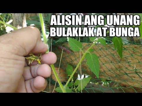 Video: Mga Trick sa Flower Garden – Matagumpay na Pagpapalaki ng Flower Garden