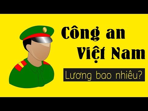 Video: Nghiên cứu: Những con chó trị liệu có quá căng thẳng không?