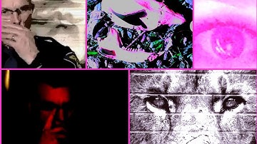 the delphi murders dunnit-kruger crowd; the hunting of Shane Evans, Ron Logan guilt?; PART ONE