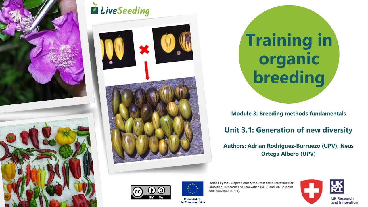 Training in organic breeding, Module 3 - Generation of new diversity ...