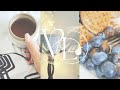 Insert Funny Moments | Enjoy What You Can | Life Is A Rollercoaster #stayinspired