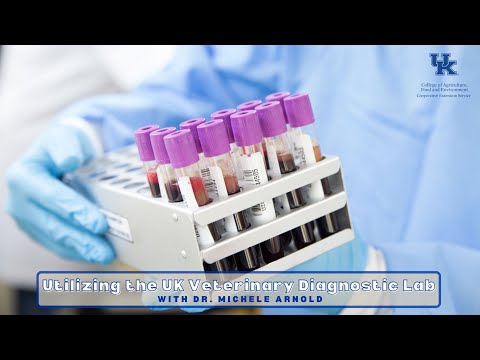 Uk Veterinary Diagnostic Lab