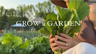 How to Grow Food FAST without Raised Beds!