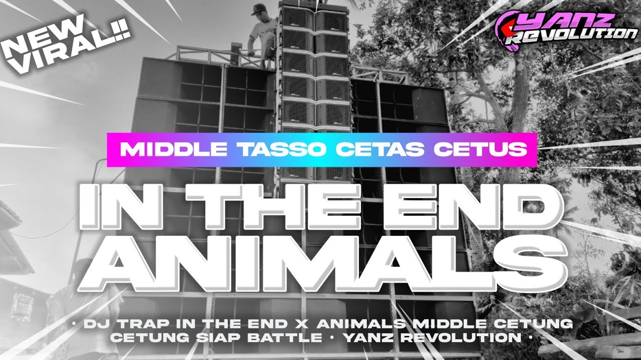 DJ IN THE END X ANIMALS‼️MIDDLE TASSO CETAS CETUS STYLE BATTLE PARTY || YANZ REVOLUTION