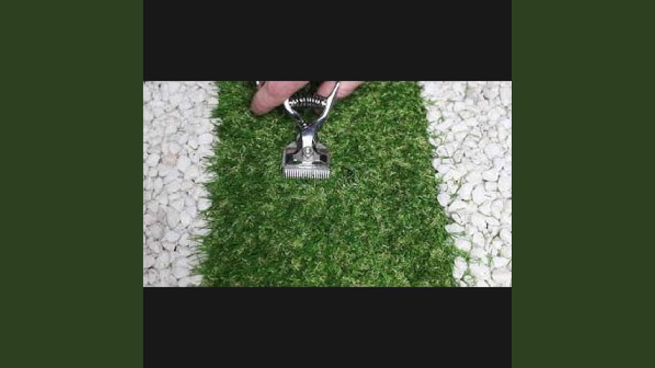 Asmr Tascam Grass Cutting with Hair Clippers, No Talking, Pt. 7