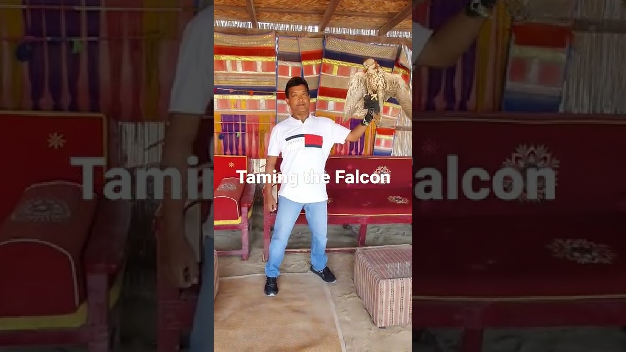 Taming the Falcon in Qatar