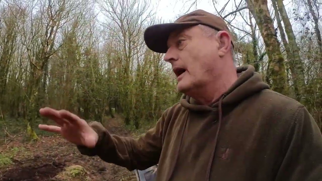 Thamber Meadow 17th Feb 2026