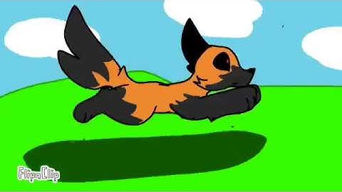 Running with the wolves (Test Animation Run Cycle)