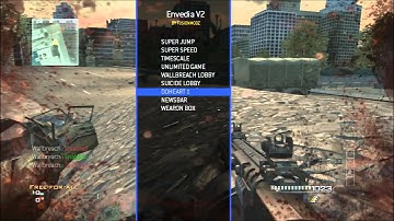[MW3/1.24]Envedia V2[+Download]