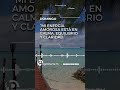 Integración amorosa.🌊 Domingo de afirmaciones de Poder ProgrAmarte.ts / Abundante Mente Oficial