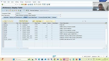 134 - Additional ABAP Concepts - TVARVC Table - Introduction
