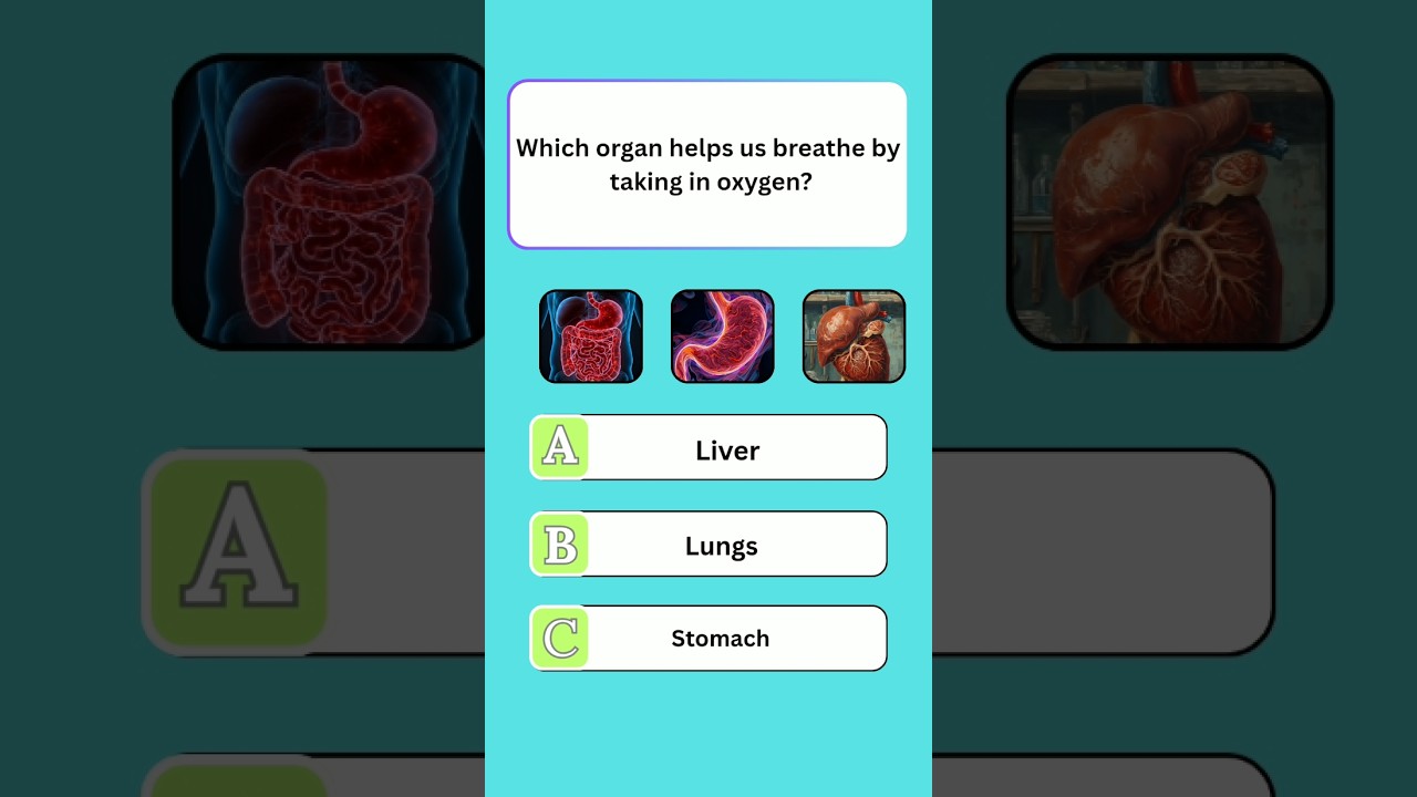 Guess the correct answer 🧠 
