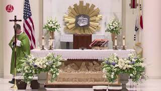 연중 제3주일(하느님의 말씀 주일, 해외 원조 주일) 미사