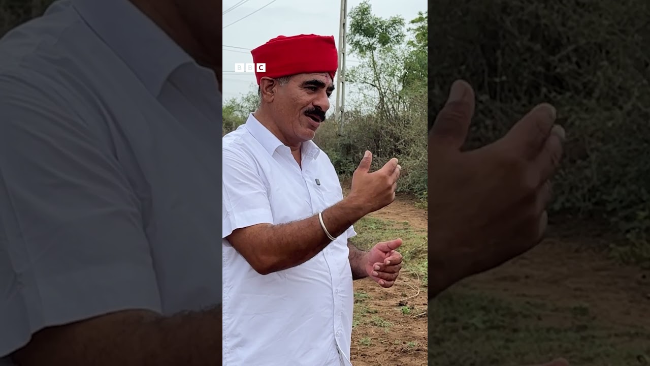 Kutch: Camel ને હવે કોઈ ખરીદવા કેમ નથી માગતું?