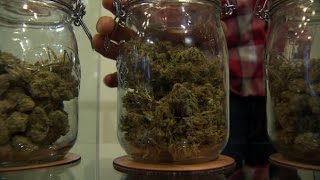 Crackdown coming on Toronto pot dispensaries, city warns