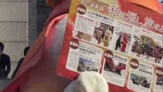 ひこにゃん　チラッ　20121031