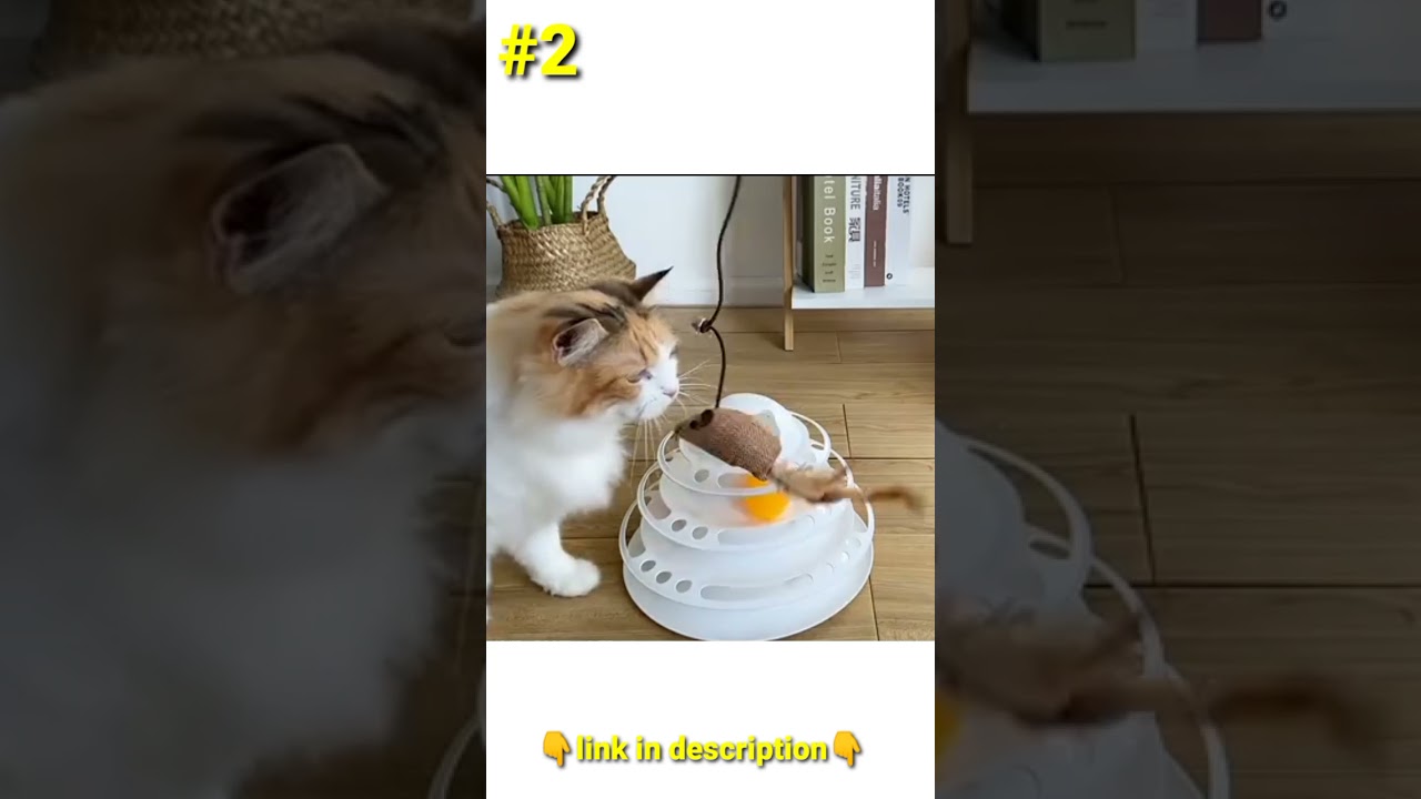 Wholesale Interactive Pack Set Bluk Catnip Mouse Feather  Scratcher Pet Cat Toys