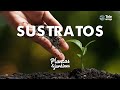 SUSTRATO - Plantas y Jardines en Teleamiga