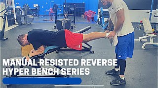 Manual Resisted Reverse Hyper Bench Series