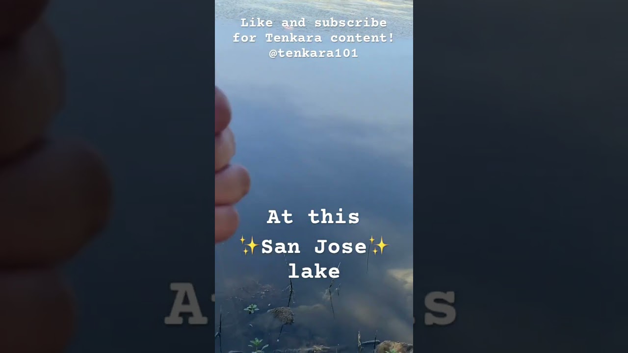 IM SO DONE CATCHING PANFISH 