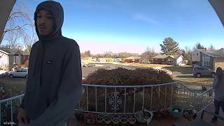 Doorbell Video of Burglary Suspects (2/6/18)