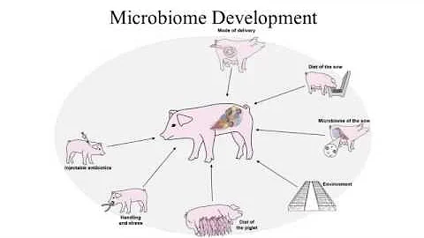 Dr. Megan Niederwerder - The role of the microbiome in PRRS - 天天要闻