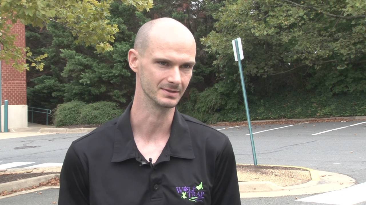 Rescue dog from Wolf Trap Animal Rescue stolen at Reston adoption event