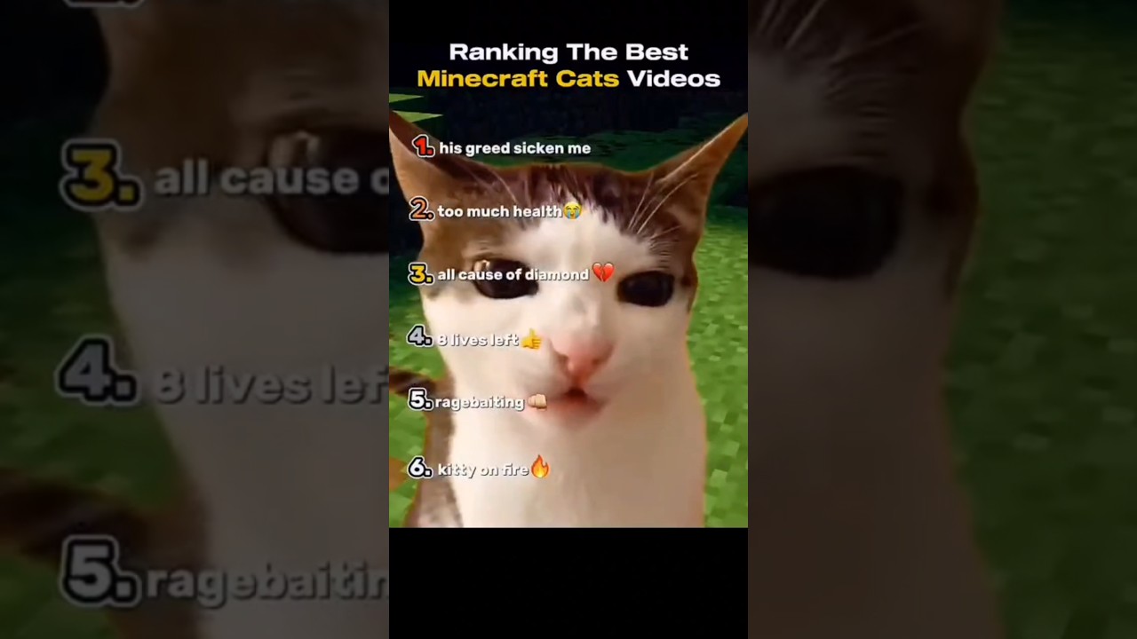 Ranking The Best Minecraft Cats Videos #ranking #ranked #cat #minecraft #funny #shortvideo #shorts