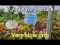 Systme dirrigation goutte  goutte lentement  bouteille en plastique arrosage par gravit pour les pots de plantes de jardin