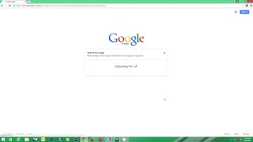 google similar image search