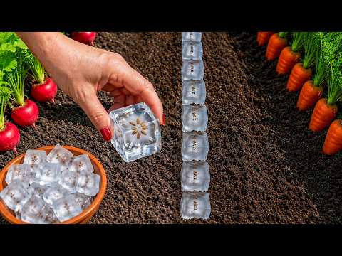 Genius Garden Hacks that Actually Work!