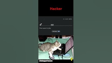 Engineer vs hacker vs programmer #coding #hacker  #engineering