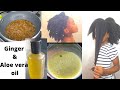 Do not wash it out: Shocking result with ginger &amp; aloe vera oil/Your hair will never stop growing