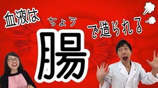 血液は骨髄ではなく腸で造られる!? 食べた物は血となり肉となる！！