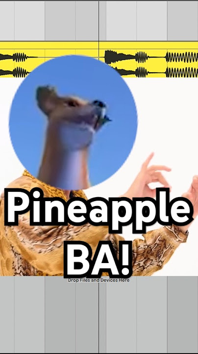 Pineapple BA! 🍍🐶🍎....#ppap #pineapple #dogofwisdom #penpineappleapplepen #pikotaro #fyp #fypシ #memes