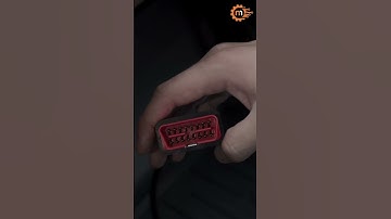 Magicmotorsport Flex Mercedes Ağır Vasıta Araç Güncellemesi