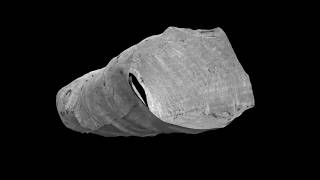12 Most Mysterious Archaeological Artifacts Finds Scientists Still Can't Explain