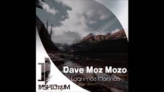 Dave Moz Mozo - Lagrimas Marinas (Original Mix)
