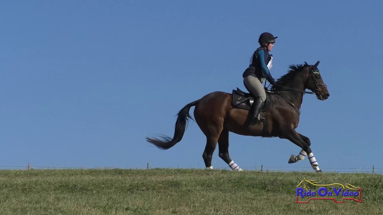 horseshoe bend 131XC Tayler Ravenscroft on Rise Against Open Training-Novice Cross Country Shepherd Ranch Aug. 2019