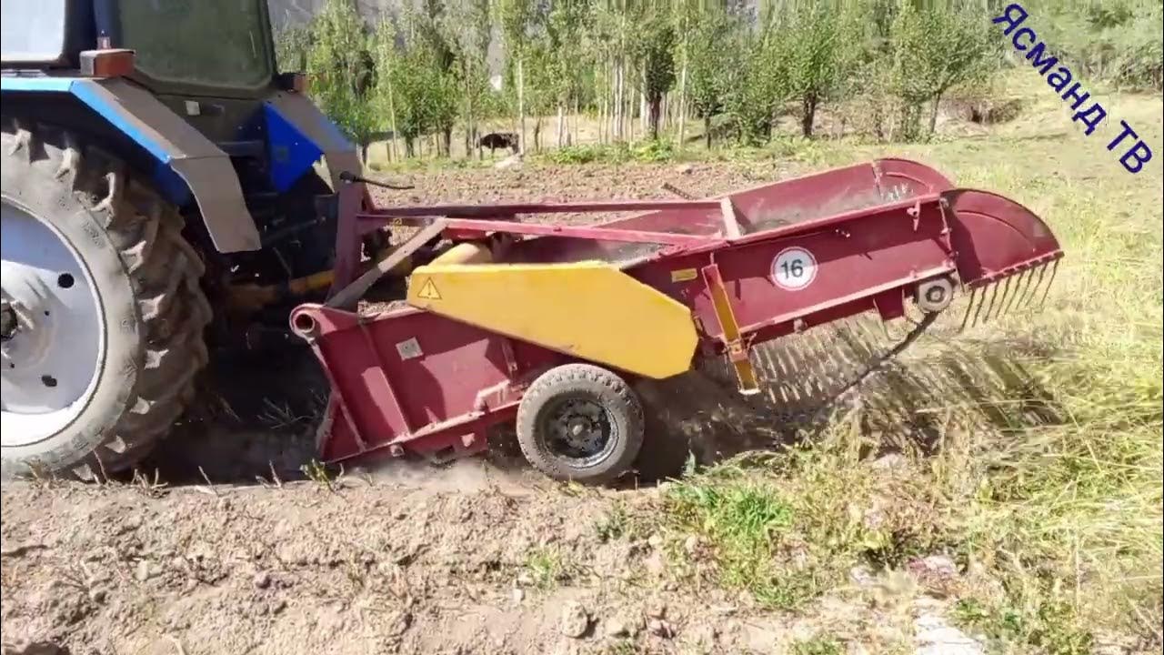 картошка кании мо дар деха чамкардани хосили тирамохи... - YouTube